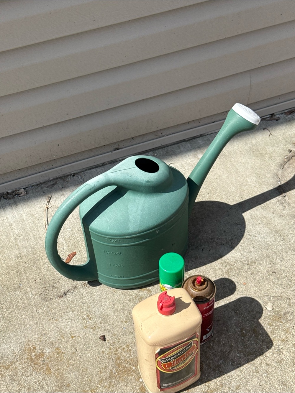 Green Plastic Watering Can with Long Spout